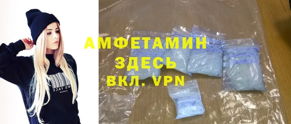 шишки Заволжье