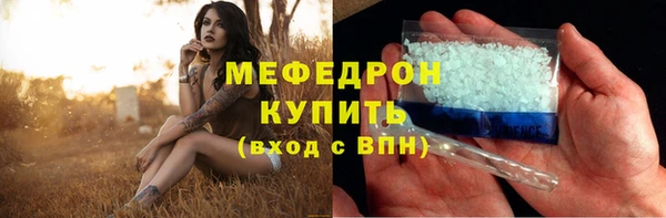 шишки Заволжье